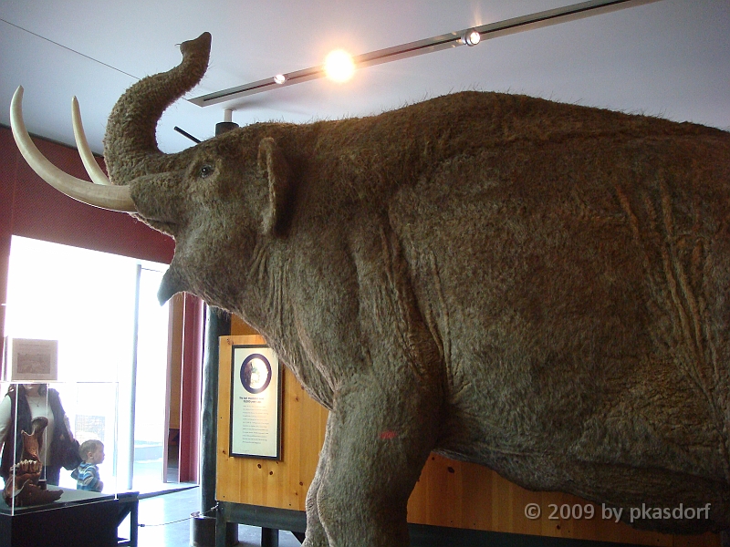 037 Cranbrook Institute of Science [2008 Jan 02].JPG